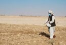 Afghanistan: Boosting local food production, generating incoming and reviving rural markets