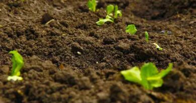 Soil health learnings from across the world