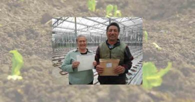 Innovation and learning at the heart of vegetable growing business