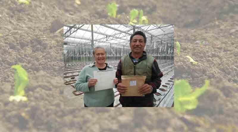 Innovation and learning at the heart of vegetable growing business