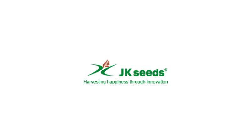 JK Seeds wheat variety