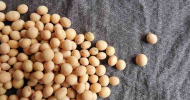 District wise recommended varieties of Soybean for the state of Chhattisgarh