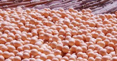 Recommended improved varieties of Soybean for Vidharbha and Marathwada region of Maharashtra
