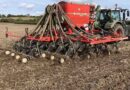 Drilling delay reduces grass weed pressure