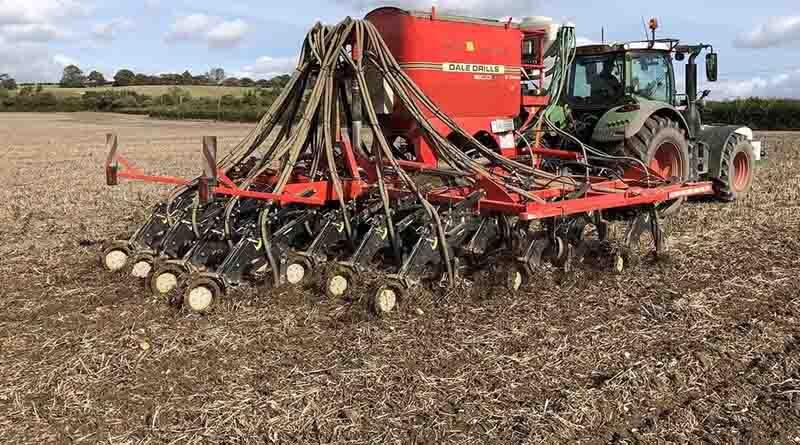 Drilling delay reduces grass weed pressure