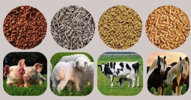 Animal feed imports up to 3.1 billion USD