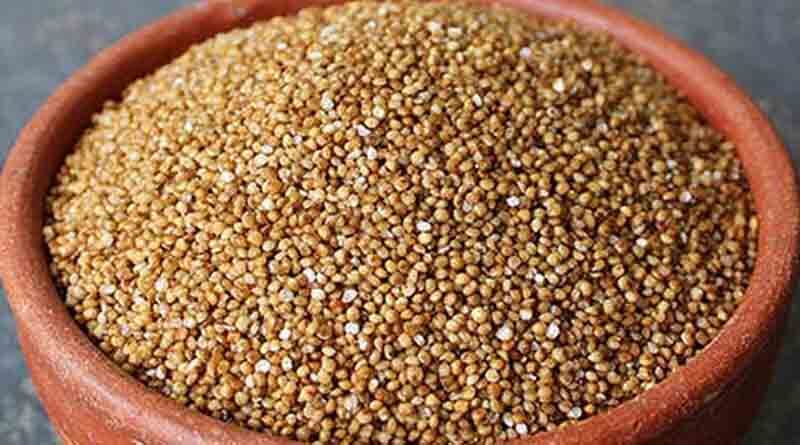 Barn Yard Millet Varieties Suitable for growing in Kharif in Uttarakhand (For Hills)