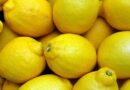 Lemon Varieties Suitable for growing in Uttarakhand 
