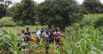 Balanced Fertilization: A Fulcrum For Sustainable Production Of Maize And Rice In Africa
