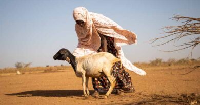 Food crisis tightens its grip on 19 ‘hunger hotspots’ as famine looms in the Horn of Africa – new report