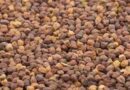 Cabinet approves disposal of Chana procured under Price Support Scheme