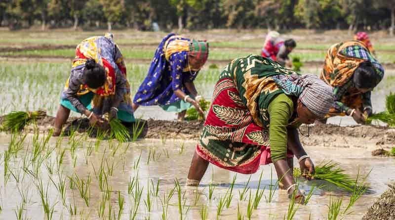 Galvanizing Food Systems Transformation in South Asia