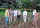 Netafim Israeli Agronomist helps Singataluru Lift Irrigation Project farmers for higher crop productivity