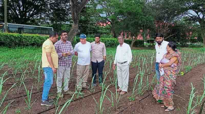 Netafim Israeli Agronomist helps Singataluru Lift Irrigation Project farmers for higher crop productivity