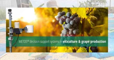 METOS® decision support systems in viticulture and grape production