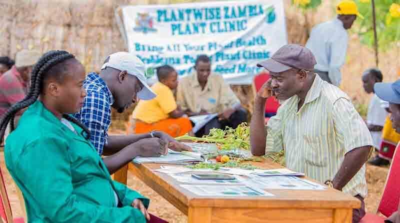 PlantwisePlus launches to help farmers in Zambia produce more and higher quality food