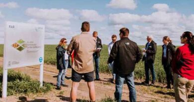 GRDC panel tour to explore local issues faced by growers