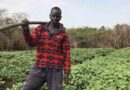 Africa Must Fast-track Adoption of Proven and Sustainable Solutions to Survive Food Crisis