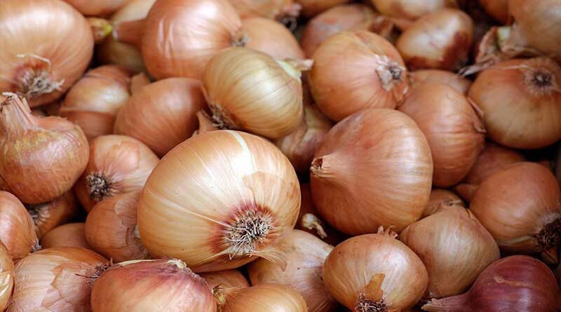 Reduction in sowing of onion due to poor experience of last two years of onion farmers