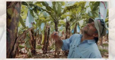 A new era in banana leaf disease control arrives with Routine®