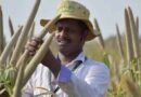 ICRISAT alumnus wins Borlaug Field Award for work on biofortified pearl millet