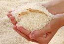 Report on NSW Rice Vesting Arrangements