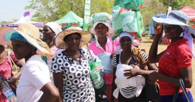 CIMMYT project helps educate farmers in Zimbabwe on seed practices and improved varieties