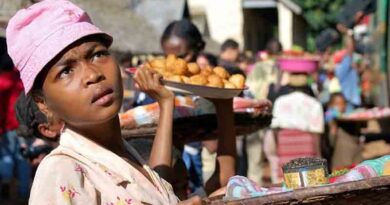 SciDev.Net special report investigates global food crisis