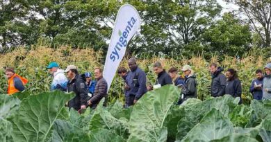 Record-breaking attendance at Syngenta Fields of Innovation