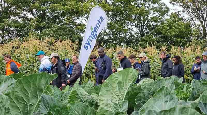 Record-breaking attendance at Syngenta Fields of Innovation