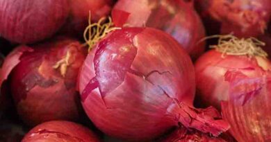 Onion prices in India may not rise for the next 3-4 months