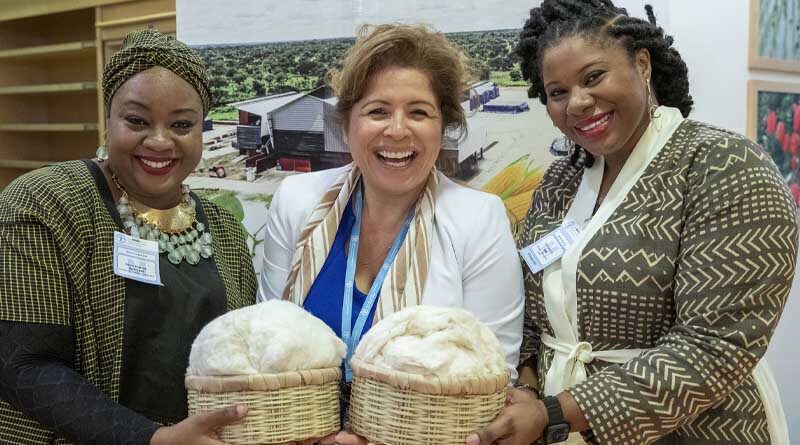 World Cotton Day: Celebrating the role of cotton in global development while calling for developing the crop more sustainably