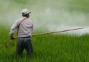 Indian farmers are using less agrochemicals shows data for FY2021-22