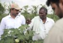 Louis Dreyfus Company Initiates New Program to Educate Smallholder Farmers on Sustainable Cotton Farming