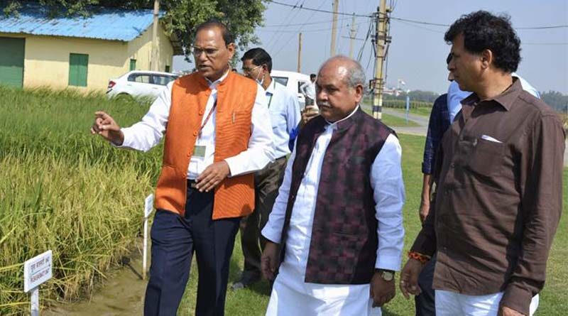 Union Agriculture Minister Mr. Tomar visits Pusa paddy field
