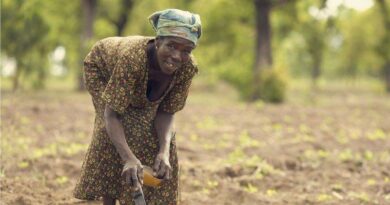 Supporting women farmers by boosting the skills of agricultural advisory services