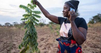 Celebrating International Day of Rural Women: The story of a Zambian farmer