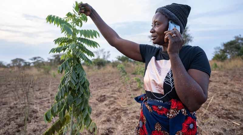 Celebrating International Day of Rural Women: The story of a Zambian farmer
