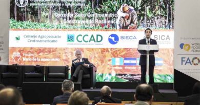Central America’s Dry Corridor: Turning emergency into opportunities