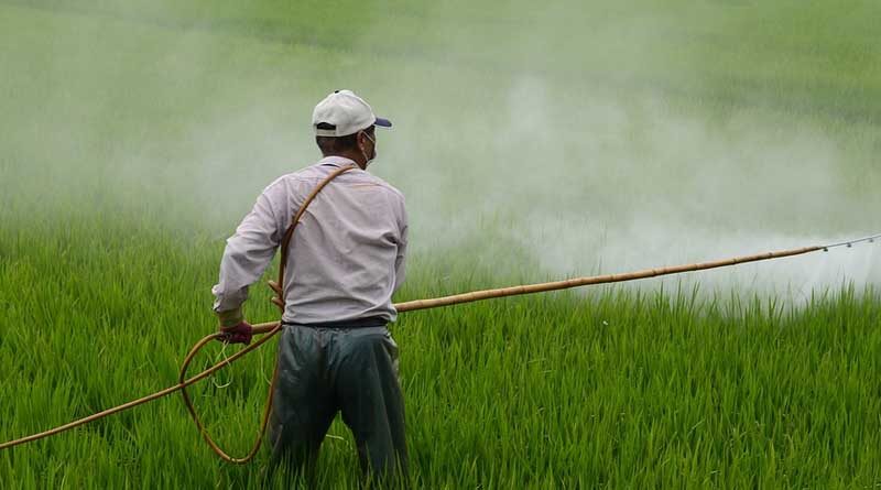 List of pesticides restricted and banned for use in Agriculture in India