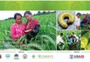 Refresher webinar on fall armyworm management in South Asia