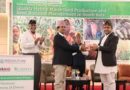Elite maize seeds handed over to seed sector stakeholders in Nepal