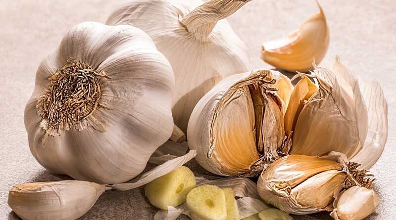 After a drastic drop in garlic prices, Gujarat farmers distribute garlic for free