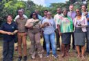 CABI supports fight against invasive species