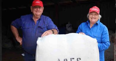 Opportunities aplenty for innovative wool growers