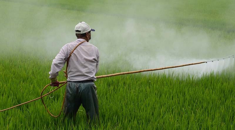 Delhi High Court stays Central Government’s order on Glyphosate