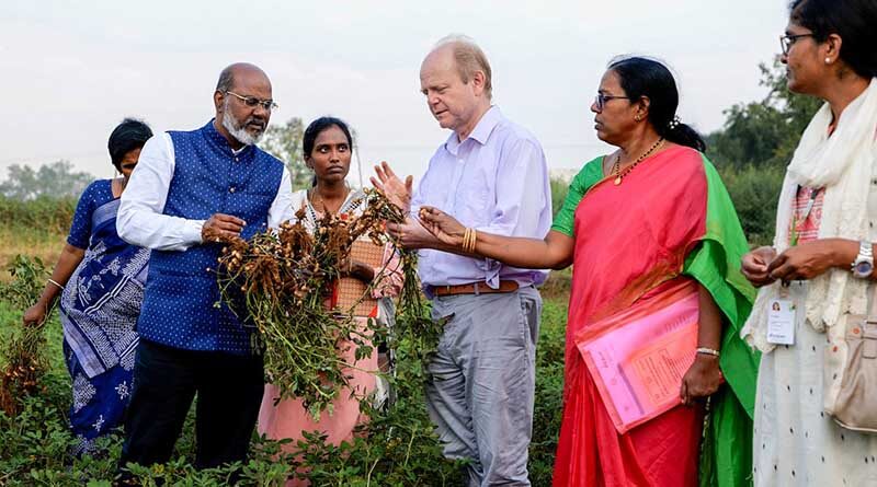 ICRISAT and PJTSAU join hands to develop new groundnut varieties and boost farmer incomes in Telangana