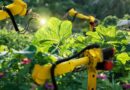 The State of Food and Agriculture 2022: Leveraging automation to transform agrifood systems