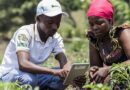 Study proposes measures to strengthen Burundi’s plant health system
