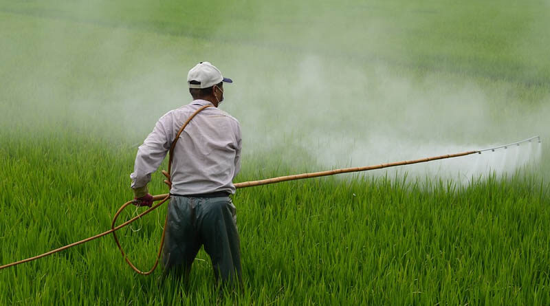 High court judge turns down bail plea of two accused of manufacturing pesticide illegally
